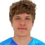 V. Paltsev