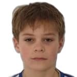 N. Godec