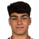 V. Harutyunyan
