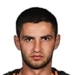 M. Shved