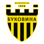 Bukovyna logo