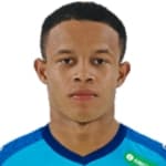 Pedro Henrique